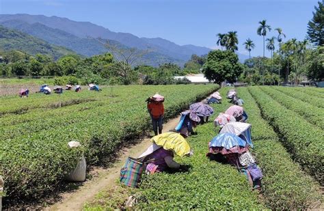 社區有什麼|你住的是「村里」還是「社區」？這就是為什麼台灣需。